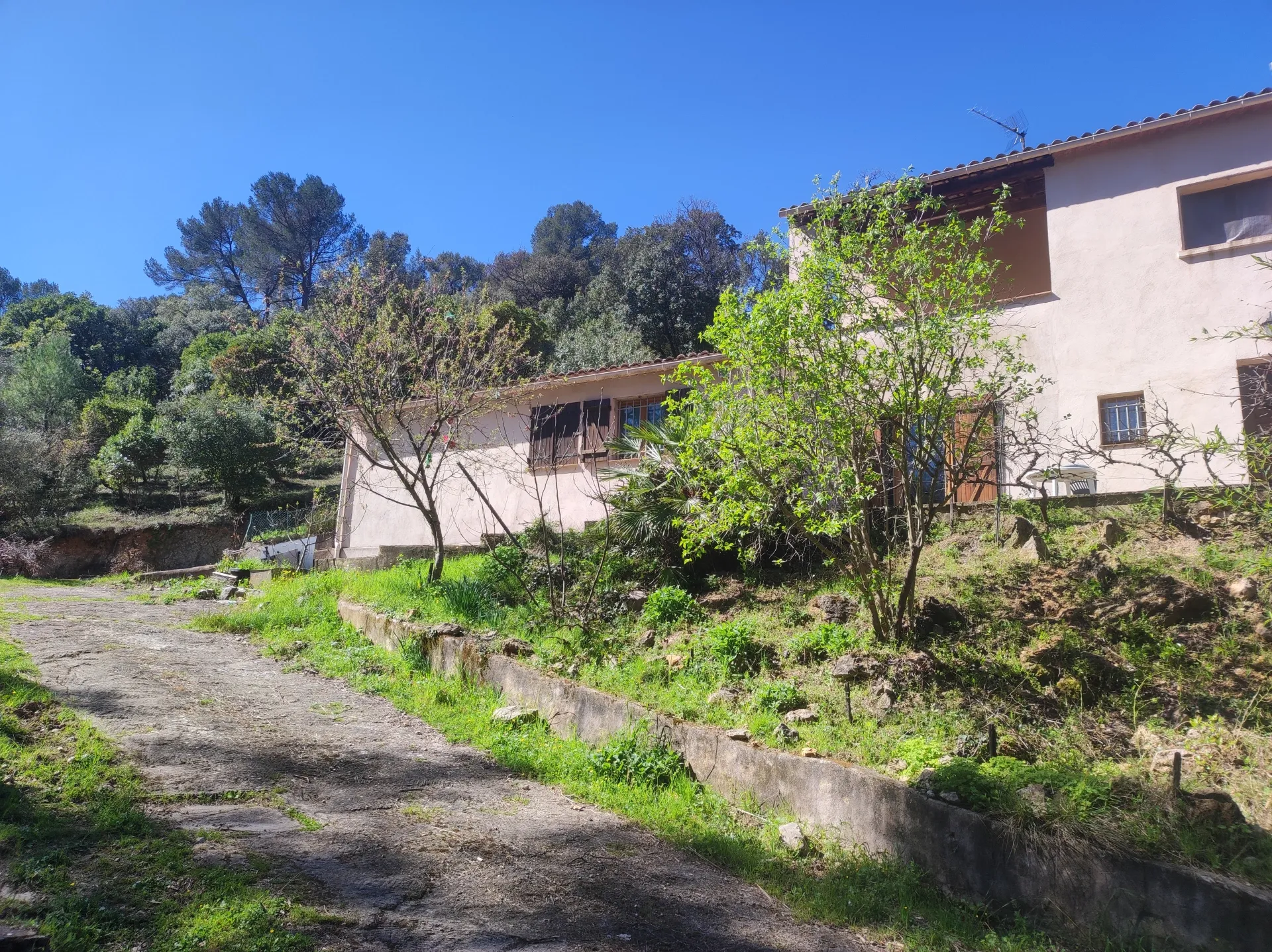An access track lined with dry-stone terraces on a wooded plot in central Var